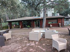 米哈雷斯Hotel Rural Finca Liceo的大楼前方的庭院配有柳条椅和桌子