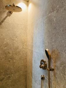 BalenGuesthouse Andor的墙上的淋浴,有猴子头