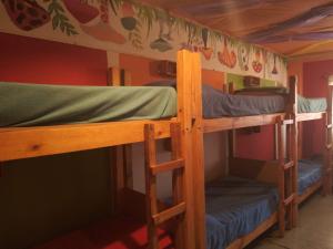 埃博森Hostel "La Casita Naranja"的客房内的两张双层床