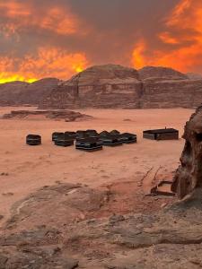 瓦迪拉姆Bedouin host camp& with tour的日落时分坐在沙漠中的一群长椅