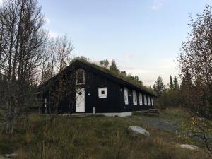 Sør-FronGålå Fjellhytte - cabin with sauna and whirlpool tub的田野上带白门的黑谷仓