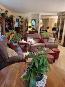 滨海圣帕莱Moulin Vieux的客厅配有沙发和植物桌子