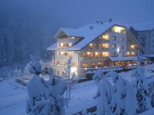 泰塞罗埃里卡酒店的一座大建筑,晚上被雪覆盖