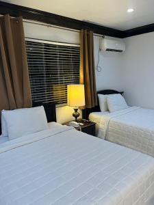 拿骚殖民地俱乐部套房旅馆的一间卧室设有两张床、一盏灯和一扇窗户。