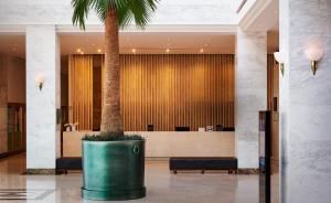 木浦市Hotel Hyundai by Lahan Mokpo的酒店大堂的棕榈树