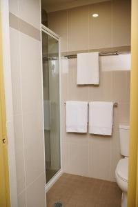 堪培拉政治家酒店 的带淋浴、卫生间和毛巾的浴室