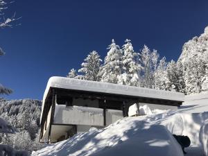 布兰德Bike 'n' Board Lodge Brandnertal的一座被雪覆盖的建筑,有树为背景