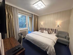 盖布利茨奥地利酒店的配有一张床和一把椅子的酒店客房