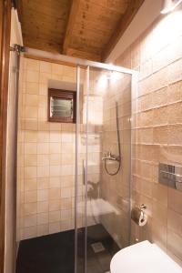 埃尔米瓜Casa Rural El Mantillo的浴室设有玻璃淋浴间和卫生间