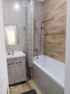 科克舍套Мухтара Ауэзова 205的带浴缸、水槽和浴缸的浴室
