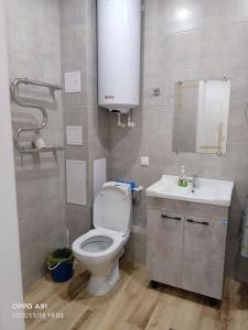 科克舍套Мухтара Ауэзова 205的一间带卫生间、水槽和镜子的浴室
