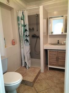 CorbarieuCharmant petit appartement的浴室配有卫生间、盥洗盆和淋浴。