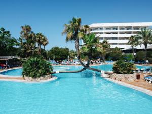 阿尔布费拉阿尔法加公寓式酒店的度假村内一座种有棕榈树的大型游泳池