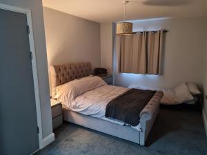 卡迪夫Luxury 2 Bedroom, and 2 Bathroom Apartment的一间卧室设有一张大床和一个窗户。