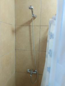 卢汉德库约Casa Kloeh的浴室内配有淋浴和头顶淋浴