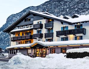 齐亚诺迪菲耶姆梅科尼乐酒店 的山中被雪覆盖的酒店