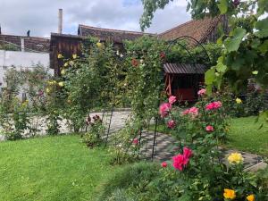 思贝儿Pensiunea Flori Sibiel的玫瑰园和房子前门