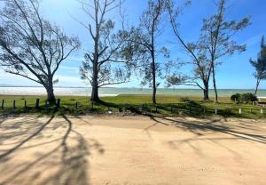阿拉鲁阿马Praia Seca, 10 pessoas, em frente à lagoa do Tomé的沙滩上的一群树木