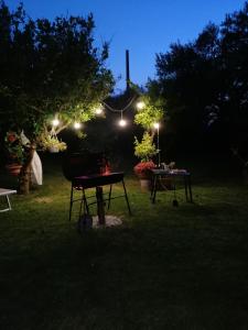 奥托纳La Collina del Riccio的夜间在院子里带灯的野餐桌