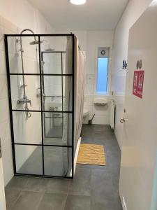 雷克雅未克Hostel B47的一间带玻璃淋浴和卫生间的浴室