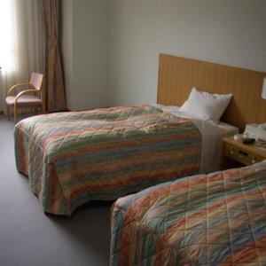 大山Kyukamura Oku-Daisen的酒店客房,配有两张床和椅子
