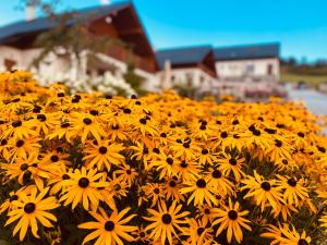 KrušetnicaChaty Krušetnica s luxusným privátnym wellness的建筑前的一束黄色花