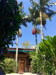 马利西亚斯Chalés Água Grande的两棵棕榈树在房子前面