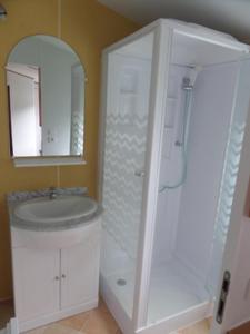 因特拉肯庄园农场阿尔托金瑞士度假屋5号的白色的浴室设有水槽和镜子