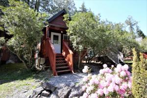 尤克卢利特Cozy Cabin Centrally Located Close To Walking Trails And Beaches!的一个小小屋,设有楼梯和一些树木