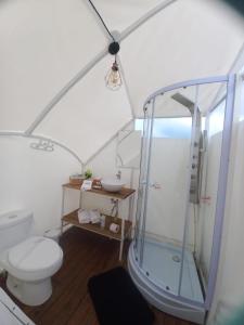 莱瓦镇Origen Glamping en Villa de Leyva的带淋浴和卫生间的浴室