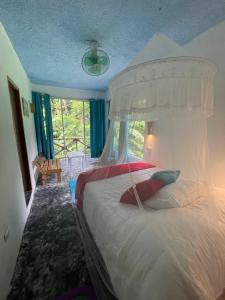 圣塔芭芭拉-山美纳Salvaje Rooms&Restaurant的一间卧室配有一张带白色天篷的大床