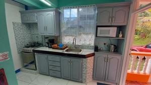 罗索Cozy vacation retreat with free parking的厨房配有灰色橱柜、水槽和窗户。