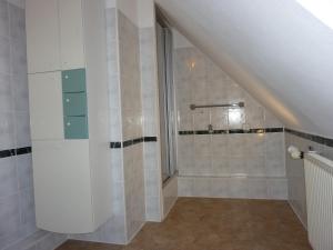 格罗斯施旺湖Seesternchen的楼梯旁的浴室设有步入式淋浴间