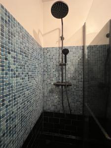佩皮尼昂Perpignan Vauban magnifique T2 avec balcon的浴室设有蓝色瓷砖淋浴。