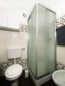 皮拉Emma’s Tiny House的一间带卫生间和玻璃淋浴间的浴室