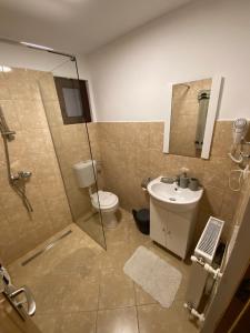 布朗Casa Moșoiu的带淋浴、卫生间和盥洗盆的浴室