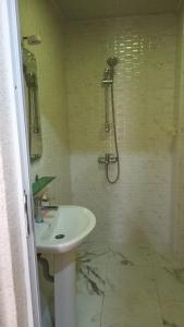 巴库Gold Baku的一间带水槽和淋浴的浴室