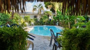 普纳奥亚海滩公寓的度假村的游泳池,带椅子和树木