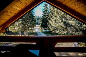 亚霍里纳Ski Chalet Jahorina的从小屋的窗户可欣赏到森林美景