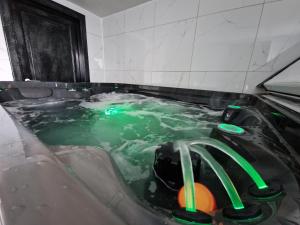 韦尔维耶Tendresse - Espace Détente Ensival的设有一个绿色水按摩浴缸