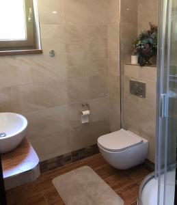 佩济诺克HOTEL GALERIA PEZINSKA BABA的浴室配有卫生间、盥洗盆和淋浴。