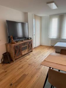 塞瓦尔兴Appartement Seenähe mit gratis Tiefgaragenplatz的客厅配有大屏幕平面电视