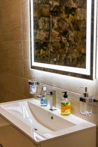 阿拉德Arad Residence - DeLuxe Blue Apartment的浴室设有白色水槽和镜子