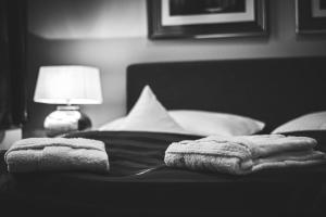 汉堡瓦格纳伊姆旦姆托帕拉斯酒店的床上有两条毛巾,带灯