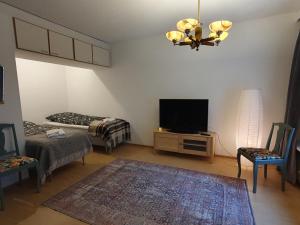 罗瓦涅米Apartment Marja's place的客厅配有平面电视和沙发。