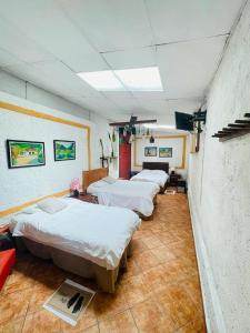 科万Hotel Casa Chapultepec的医院里的一排病床