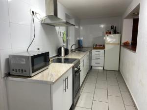 VilafantLes Oliveres - casa- apartament的一间带微波炉和冰箱的小厨房