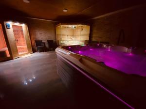 锡尔沃斯瓦里德Gold Horse Vendégház的大型浴室设有紫色照明浴缸