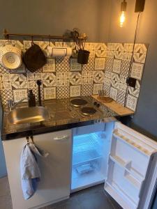 JodoigneLe petit 19的厨房配有水槽和开放式冰箱。