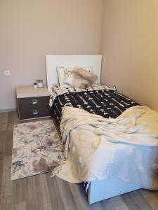 加拉茨Vila Sunset的一间卧室配有一张床、床头柜和地毯